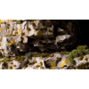 Gamers Grass Dark Moss – 2 mm (Tiny) | 500 miniaturowych kępek mchu do modeli